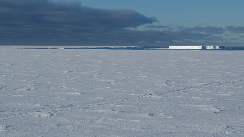 2011_01_17 072